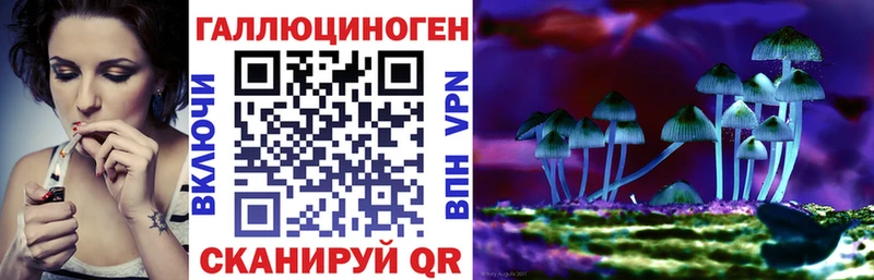 Галлюциногенные грибы Psilocybine cubensis дарк нет официальный сайт Ардатов где можно купить наркотик